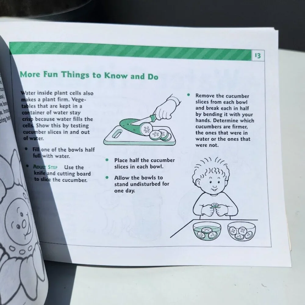 Janice VanCleave's Play and Find Out about Nature Easy Experiments for Young Chi
